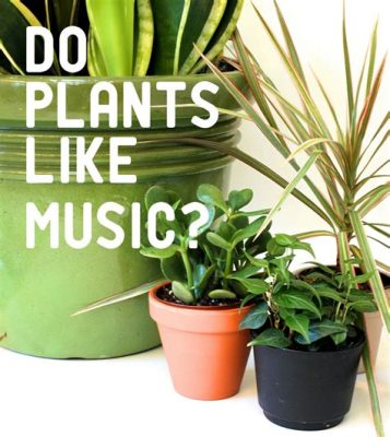 do plants like music? and do plants have their own language?