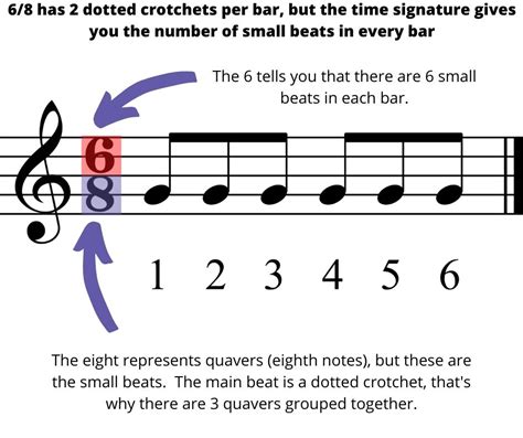 duple meter music definition and its influence on musical composition