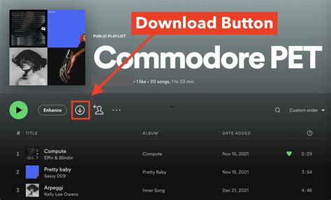 how to download spotify music to computer and what is the best way to stream music online