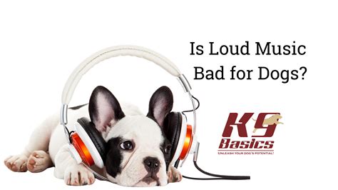 is music bad for you or can it be beneficial?